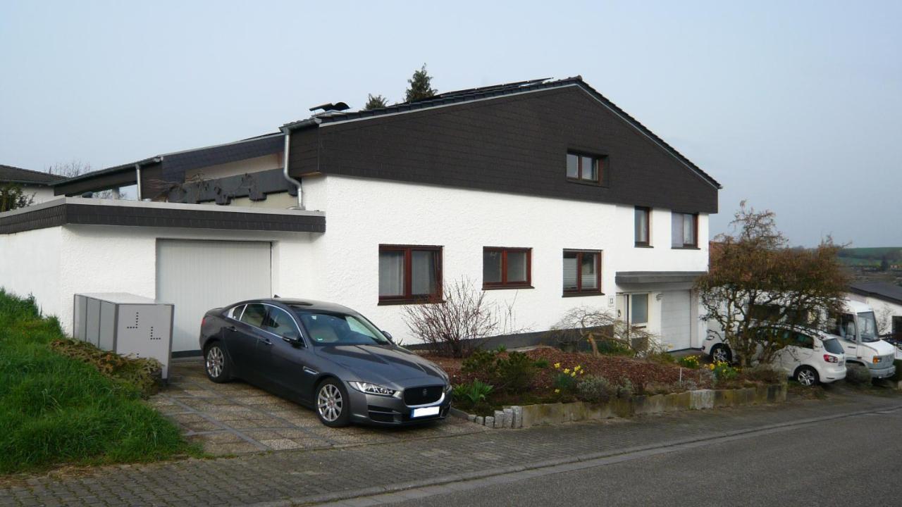 Ferienwohnung Sinsheim-Duehren Dış mekan fotoğraf